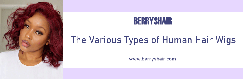 The Various Types of Human Hair Wigs