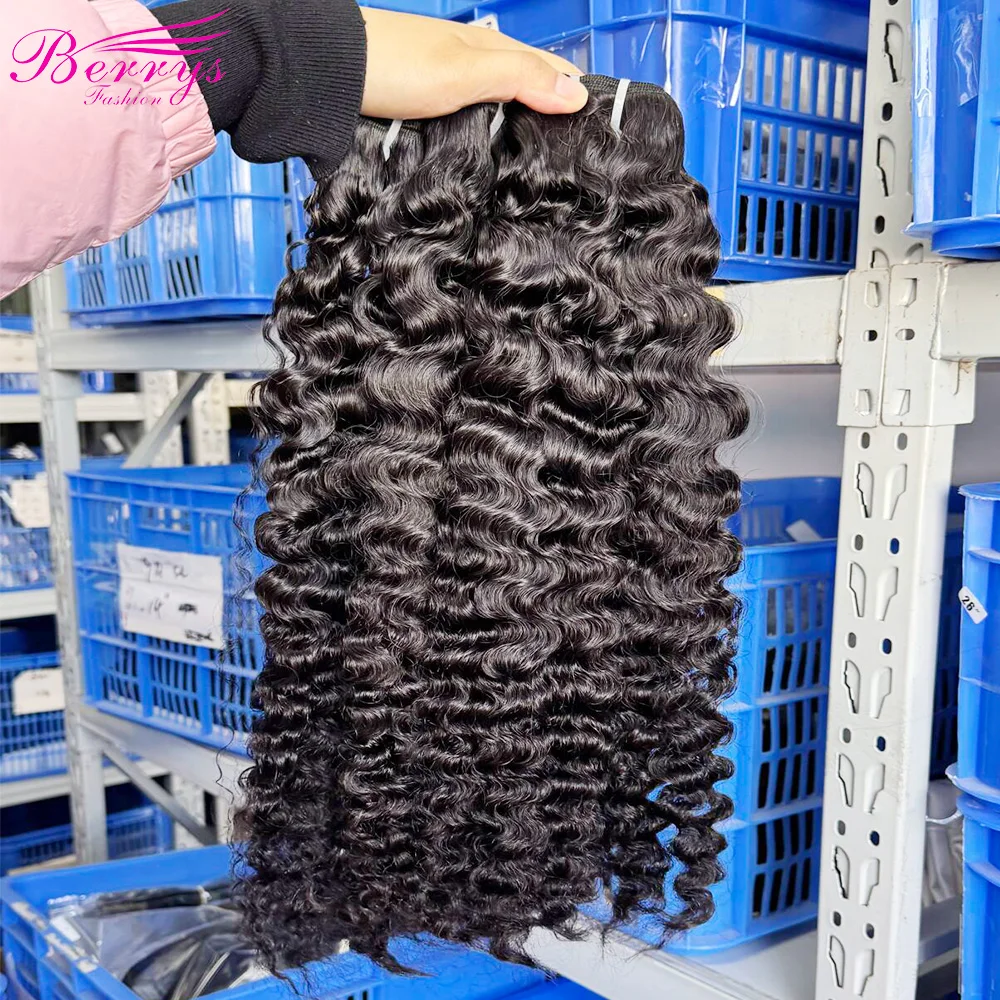 Burmese Curly Atlanta